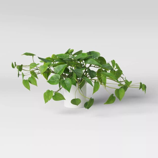 14" x 28" Artificial Pothos Plant in Pot - Threshold